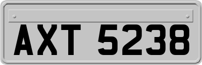 AXT5238