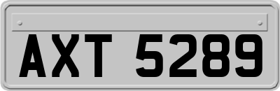 AXT5289