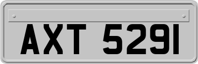 AXT5291