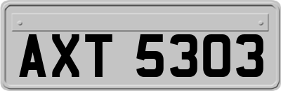 AXT5303