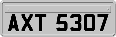 AXT5307