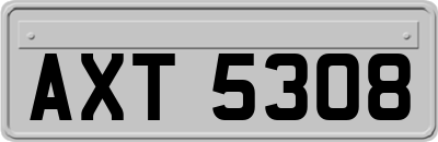 AXT5308
