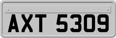 AXT5309