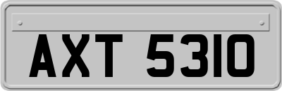 AXT5310