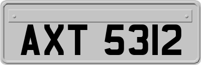 AXT5312