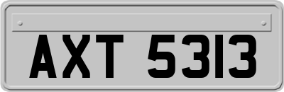 AXT5313