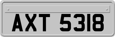 AXT5318