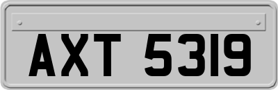 AXT5319