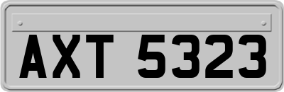 AXT5323
