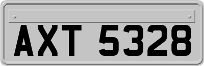AXT5328