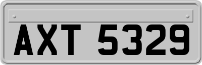 AXT5329