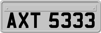 AXT5333