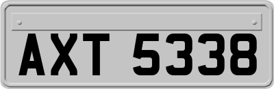 AXT5338