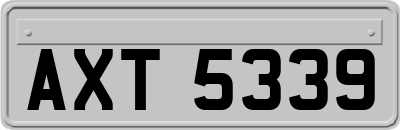 AXT5339