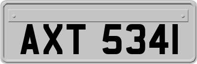 AXT5341