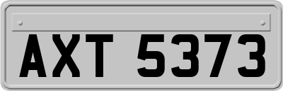 AXT5373