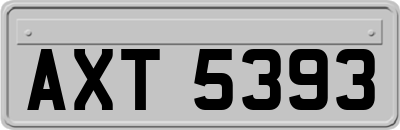 AXT5393