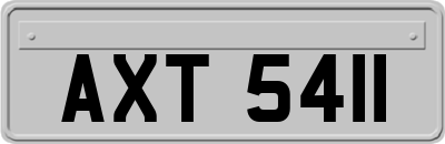 AXT5411