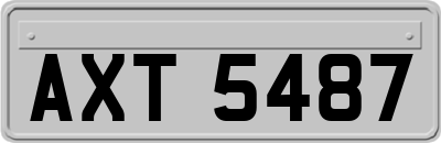 AXT5487