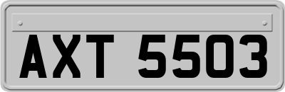 AXT5503