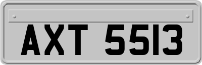 AXT5513