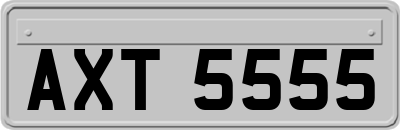 AXT5555