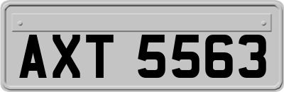 AXT5563