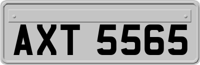 AXT5565