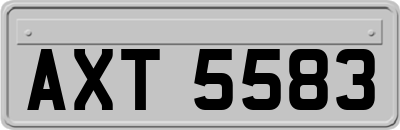 AXT5583