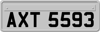 AXT5593