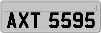 AXT5595