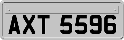 AXT5596
