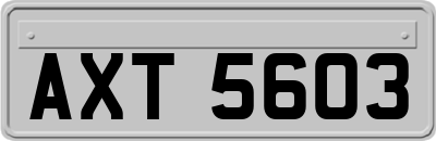AXT5603
