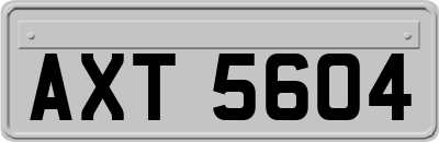 AXT5604