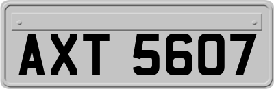 AXT5607