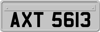 AXT5613
