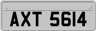 AXT5614