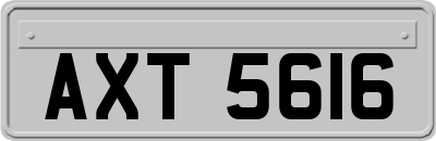 AXT5616