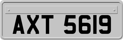 AXT5619
