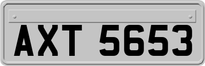 AXT5653