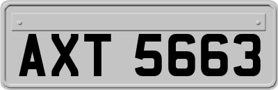 AXT5663