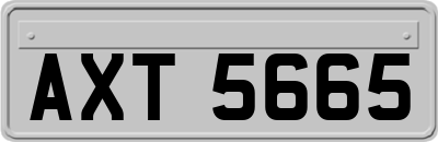 AXT5665