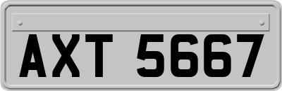 AXT5667