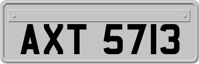 AXT5713