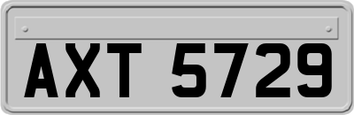 AXT5729