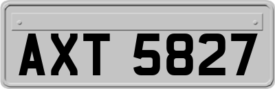 AXT5827