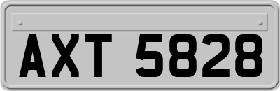 AXT5828