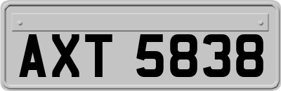AXT5838
