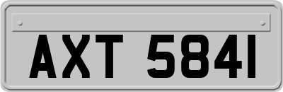 AXT5841
