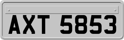 AXT5853